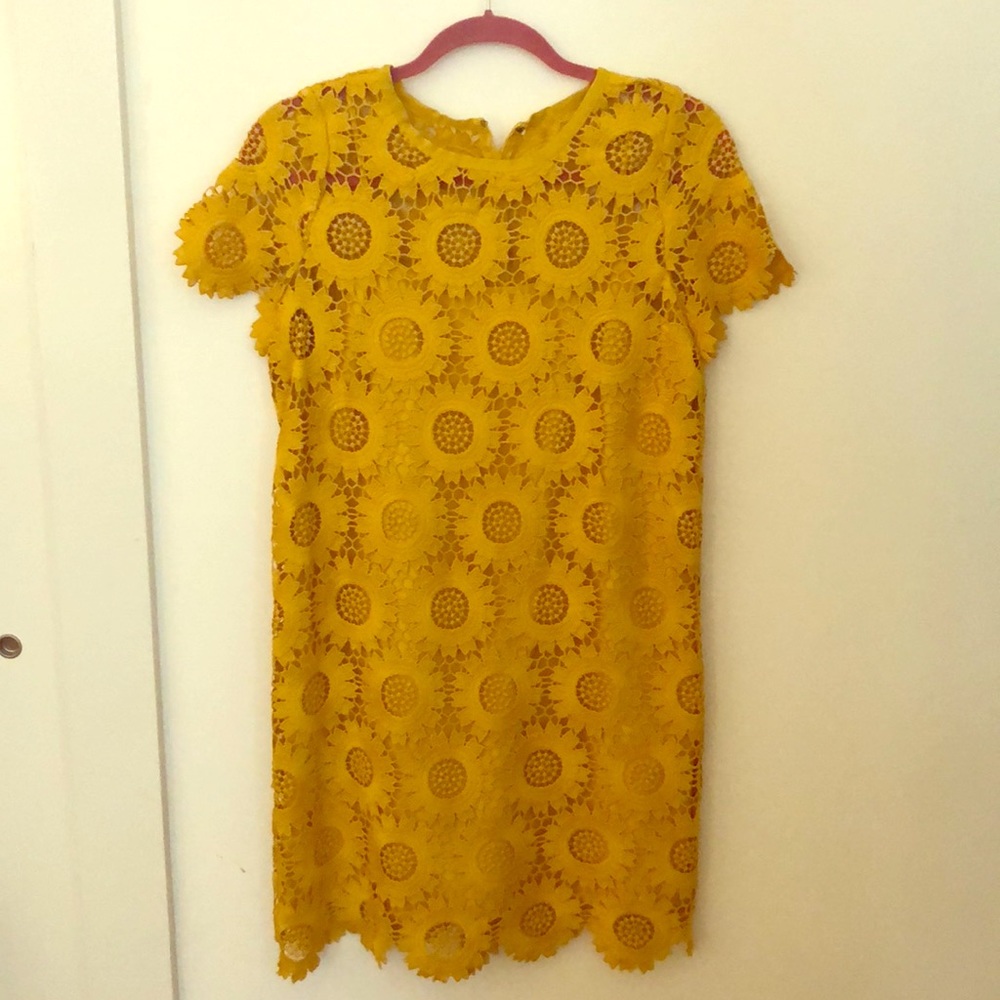 LOFT mustard yellow lace sunflower dress 6